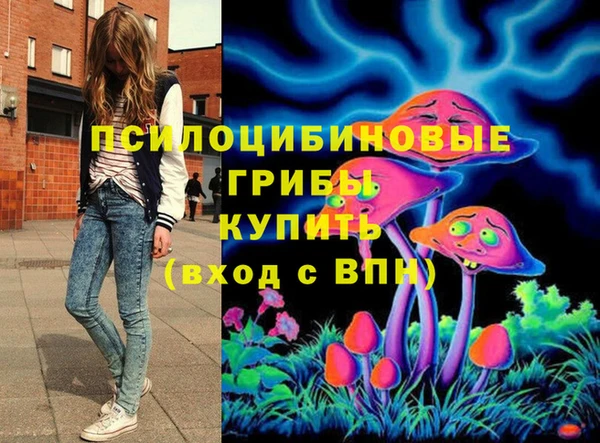 СК Новокубанск