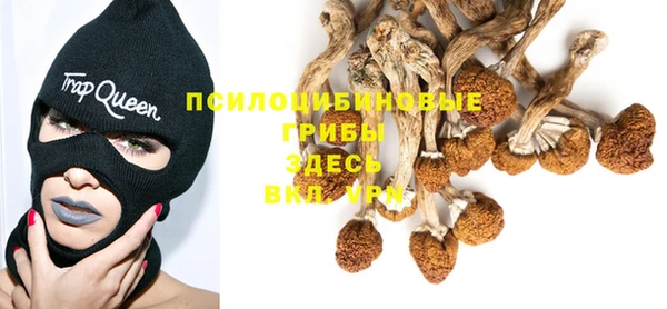 мескалин Новозыбков
